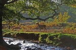 October 2008 - Red Deer