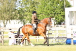 SBM_19622