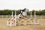 SBM_008924