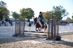 SBM_14037