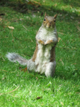 Inquisitive