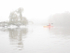 Big Creek--October Fog