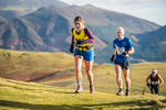 Sale Fell-533