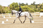 SBM_004831