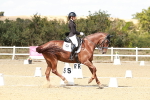 SBM_019334
