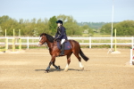 SBM_006150