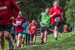Dovedale Dash-1858