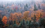 White Mountain Tempest I