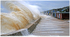 Tidal Surge