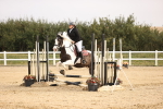 SBM_000365