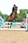 Cls 31 British Novice & 90cm Open portfolio
