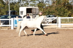 SBM_11380