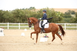 SBM_020188