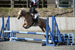 BVRC SJ 170319 257