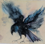 Free Fall SOLD