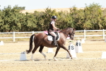 SBM_017382