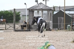 BPP_0396