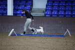 SBM_006063