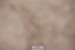 231112A-130048-04327