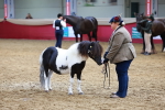 SBM_18683
