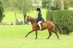 SBM_74031