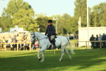 SBM_55538