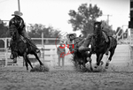 3HRodeo7-25-25_CFD_03499_