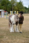 WJ6_8418