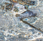 Wave-6