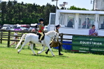 SBM_05999