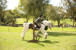 SBM_42292