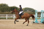 SBM_04190