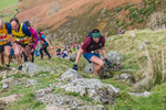 Stybarrow Dodd-430