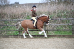SBM_006094
