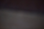 SBM_001441