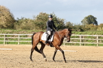 SBM_002443