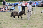 WJ6_5681