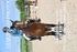 BPP_7892_2