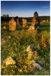 Beaghmore Stone Circles (IMG0259)