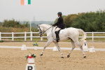 SBM_009269
