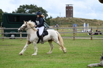 WJ7_8634