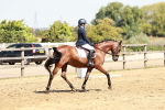 SBM_001498