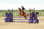 SBM_009094