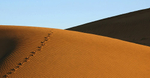 Footprints...