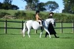 SBM_35296
