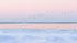 -16C  Port Dover Dawn