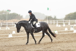 SBM_004016