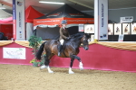 SBM_06020