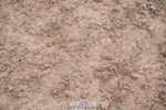 240713A-153524-01133