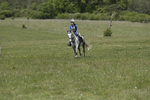 BVHT 140517  IXC -514